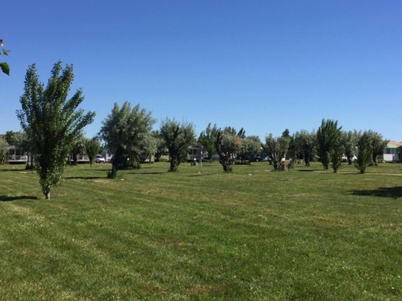 Camping Phare Ouest Saint-Denis-dʼOléron المظهر الخارجي الصورة
